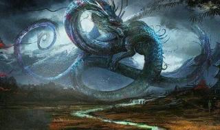 龙之道保健养生会所 龙之道保健养生会所